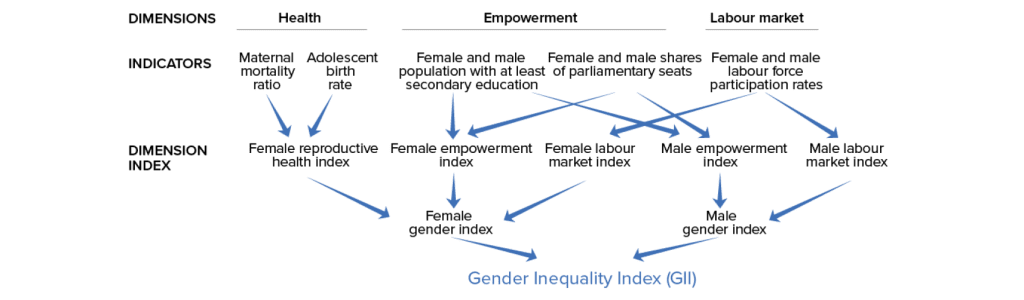 Diagram illustrating concepts related to gender inequality and the GII Gender Inequality Index.