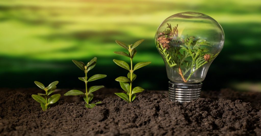 Light bulb with soil and plants, symbolizing innovation in CSR strategy for sustainable growth and environmental awareness.