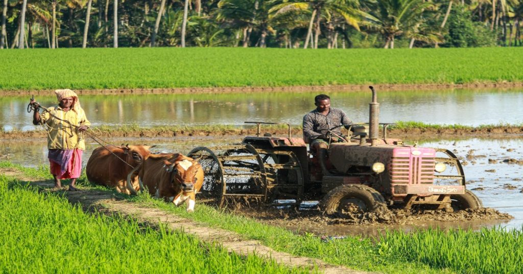 Two farmers in a field, one with cattle and other in tractor, demonstrating dairy farming under MGNREGA.