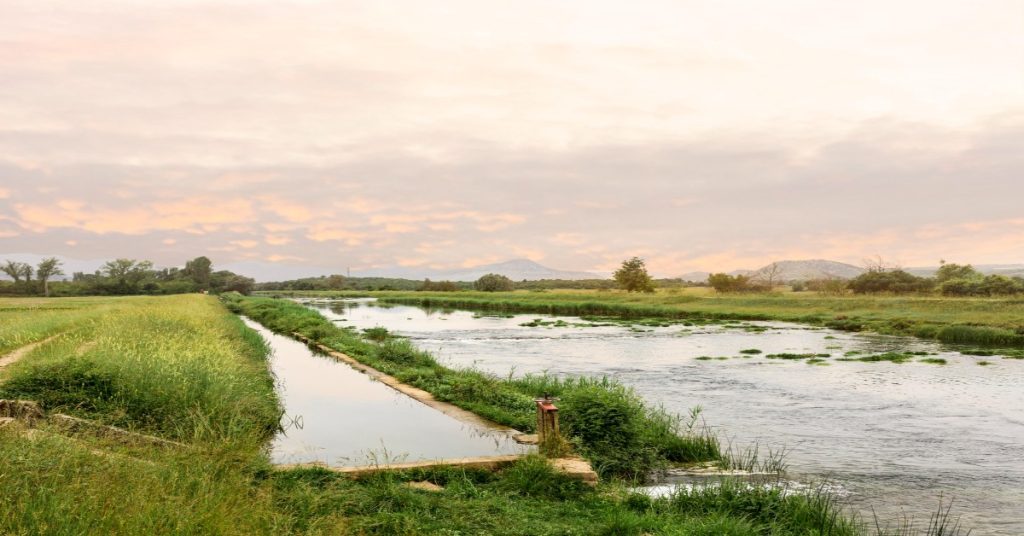 A river flows through a grassy field with trees, highlighting the importance of agricultural irrigation.