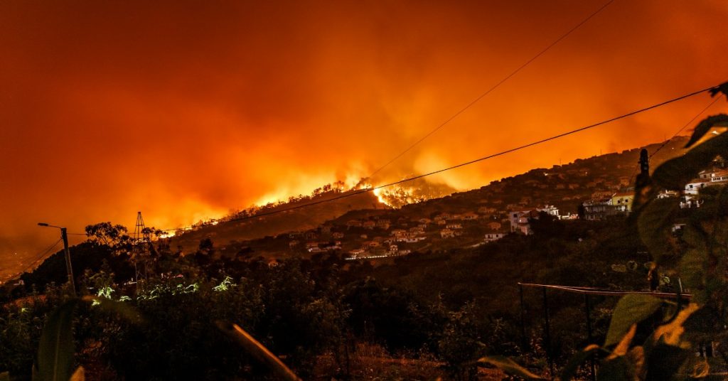 Flames engulf the hills near a town, emphasizing the critical importance of disaster relief in times of crisis.