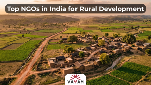 Visual representation of Top NGOs in India for Rural Development, showing a prominent Indian NGO uplifting rural communities through health, education, and livelihoods work on the ground.