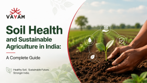Hands planting a young seedling in healthy soil, representing soil health and sustainable agriculture in India